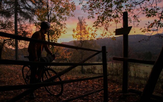 Gravelbike