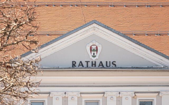 Drei Pap­peln wer­den gefällt
