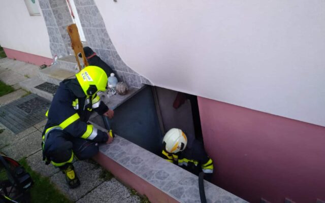 Freiwillige Feuerwehr St. Paul