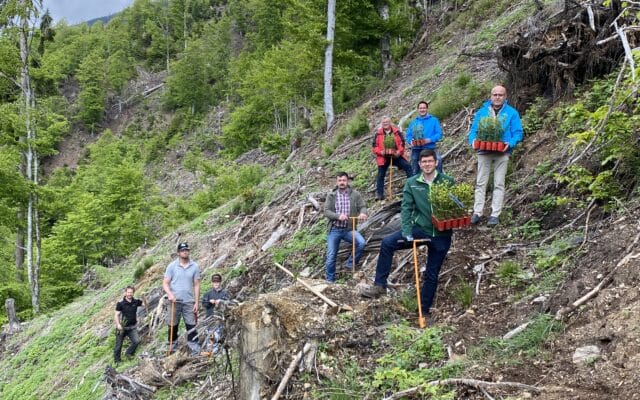 ÖVP Kärnten