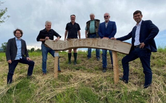 Neue Bäu­me in der Tig­rin­ger Allee