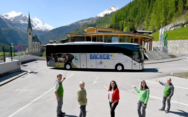 Steinbock-Bus
