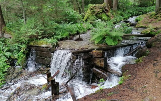 Die Tie­bel-Quel­len als Natur­ju­wel