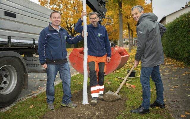 Start der Herbst-Pflan­zun­gen in Kla­gen­furt