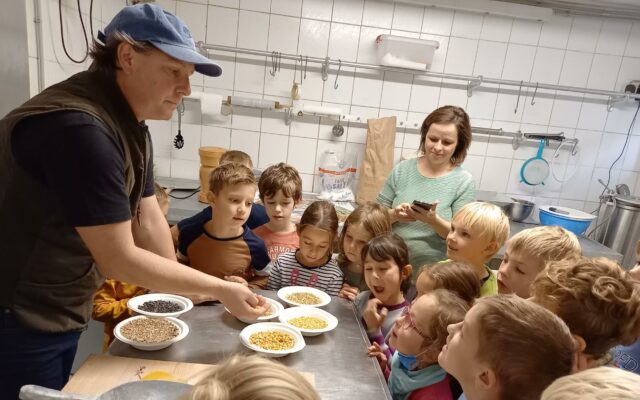 Euro­pa­schu­le: Kin­der back­ten selbst Brot