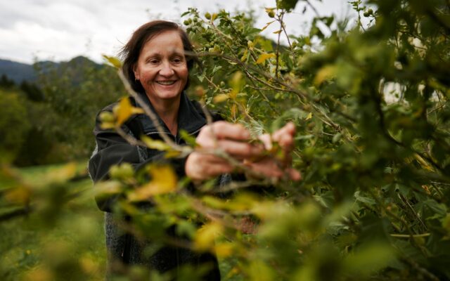 Slow Food Travel Destination Lavanttal