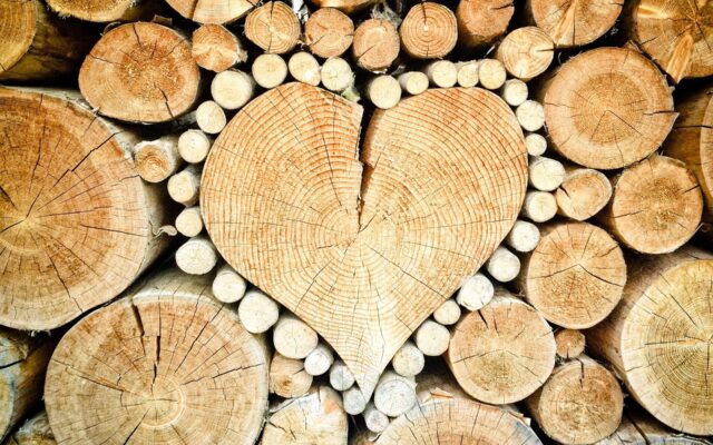 Neu­er Ver­ein setzt neue Impul­se für das Holz­land Kärn­ten