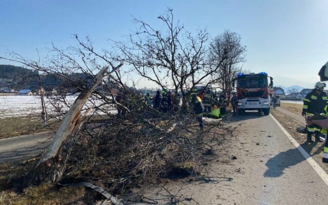 Tai­n­ach: Nach Über­hol­ma­nö­ver in Baum gekracht