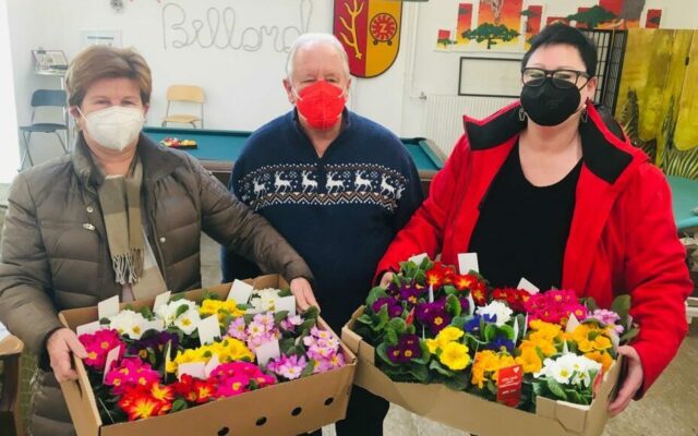 Ein blu­mi­ger Früh­lings­gruß für die Bür­ger