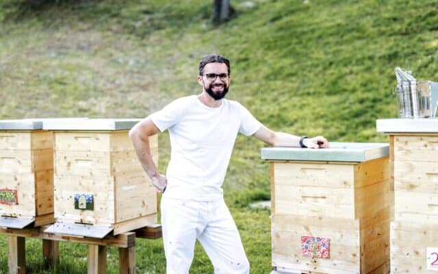 Der Tag der Bie­ne