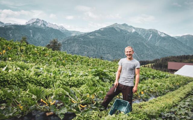 Das Gemü­se­kis­terl vom Berg