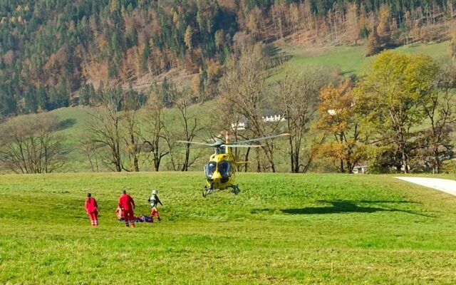 Land­wirt (35) von Baum­stamm über­rollt