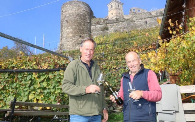 Das Glan­eg­ger Wein­fest fei­ert Jubi­lä­um