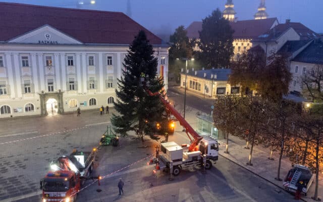 Kla­gen­furt sucht Christ­baum für den Neu­en Platz