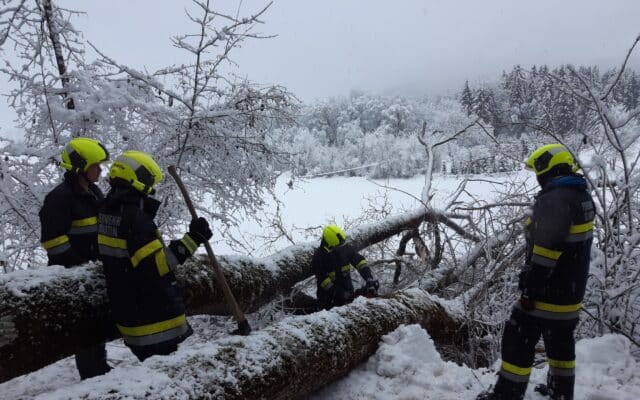 Schnee­fäl­le: Feu­er­weh­ren im Dau­er­ein­satz