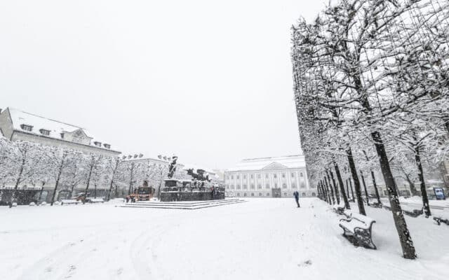 Schnee­bruch-Gefahr bei Bäu­men im Stadt­ge­biet