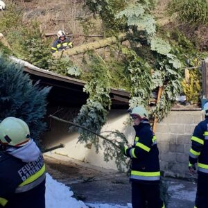 Feuerwehren entfernten Bäume auf den Straßen