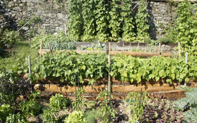 „Natur im Garten“-Nachmittag in Ott­ma­nach