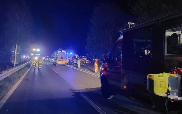 Unfall auf S 37: Zwei Verletzte und ein toter Hund