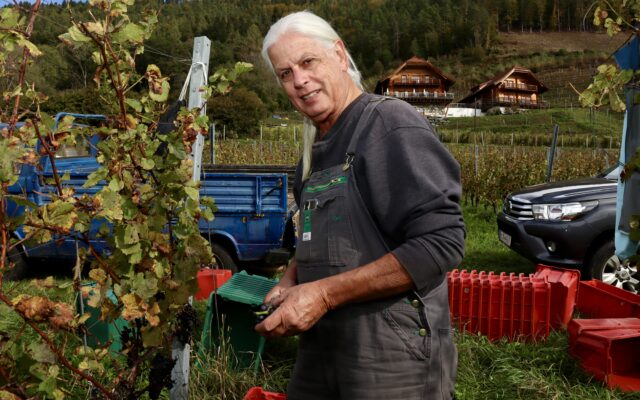 Wein­le­se im Wein­gut Karn­burg