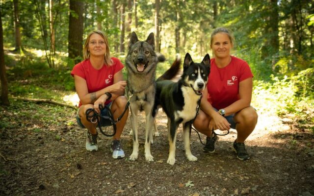 Sie sind ver­miss­ten Tie­ren auf der Spur!