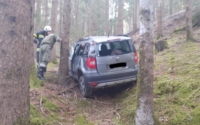 Auto blieb in Baum hängen: Ehepaar verletzt
