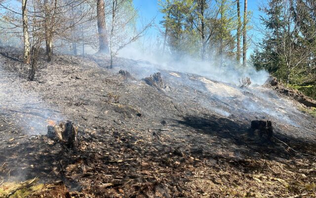 2.000 Qua­drat-Meter: Wald­brand am Kreuz­bergl