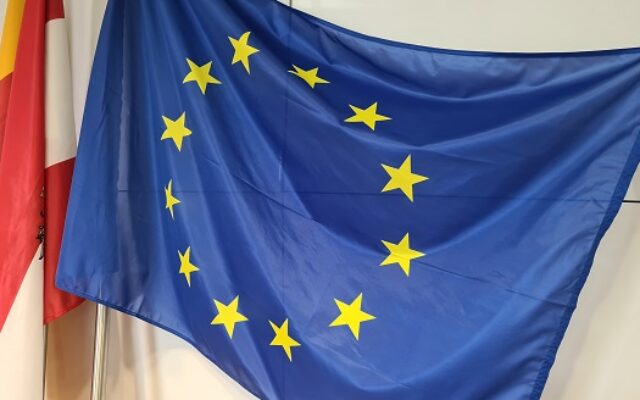 Kärntner Schüler nach Brüssel