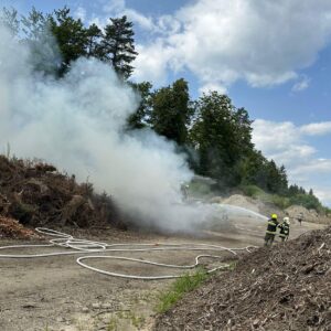 Brand nahe Wald: Feuerwehren verhinderten Schlimmeres