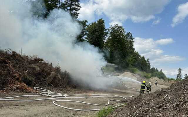 Brand nahe Wald: Feuerwehren verhinderten Schlimmeres