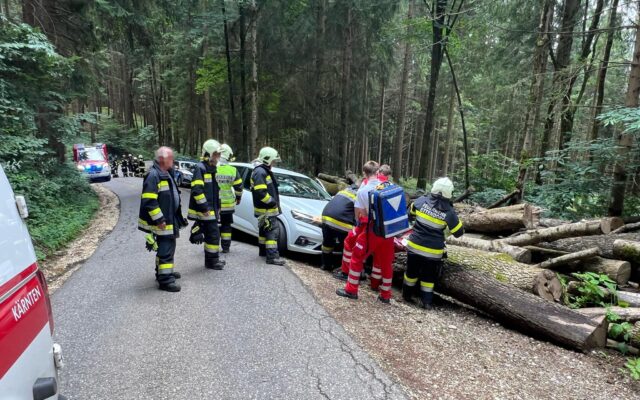 Mann (80) krach­te alko­ho­li­siert in Baum­stäm­me