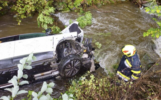 Len­ke­rin prallt gegen Baum und stürzt in Gört­s­chitz­bach
