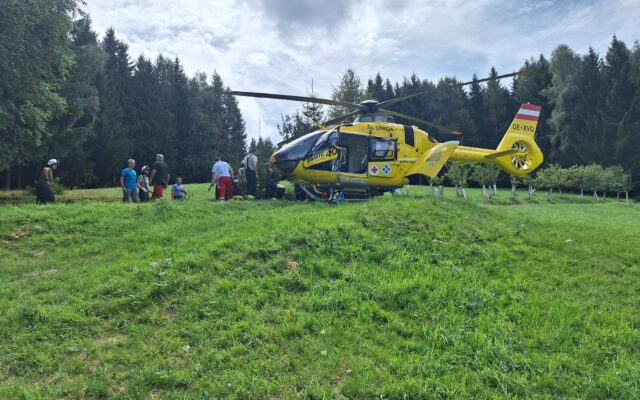 Bei Hoch­stand-Repa­ra­tur abge­stürzt