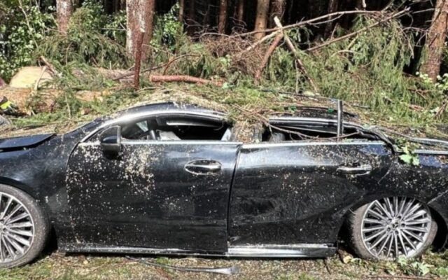 Zwei Autos mit Insas­sen von Bäu­men begra­ben