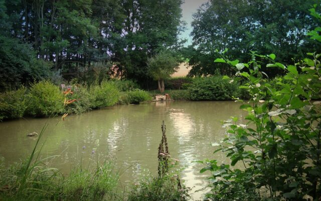 Geret­tet: Mann (21) ver­sank im Teich­schlamm