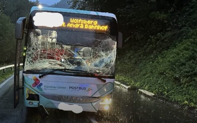 Mit Linienbus gegen Baum gekracht