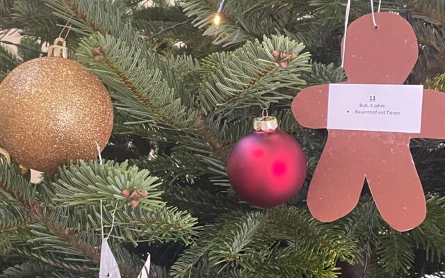 Ferlacher Wunschbaum ist da