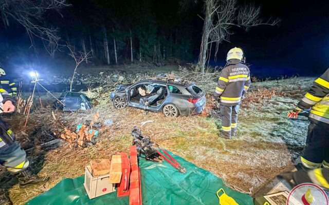 Reh­wild aus­ge­wi­chen: Len­ker (29) ein­ge­klemmt