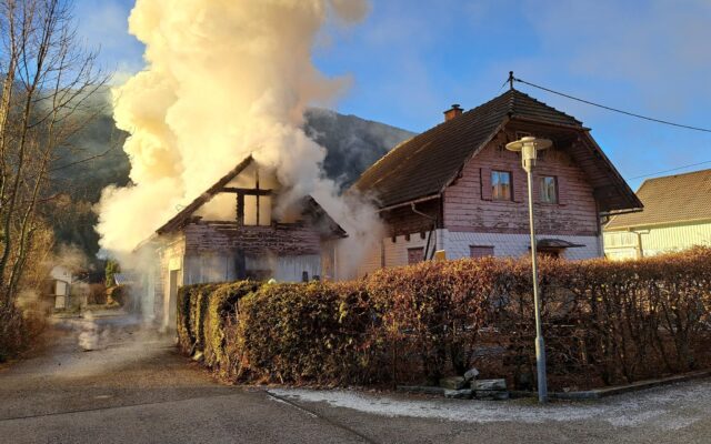 Vögel aus bren­nen­dem Haus geret­tet
