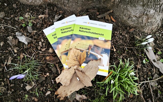 Kärntner Naturschutz-Bericht 2024