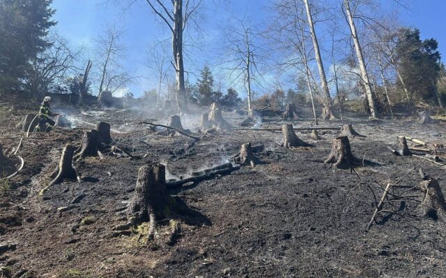 Zwei Wald­brän­de for­dern 270 Flo­ria­nis