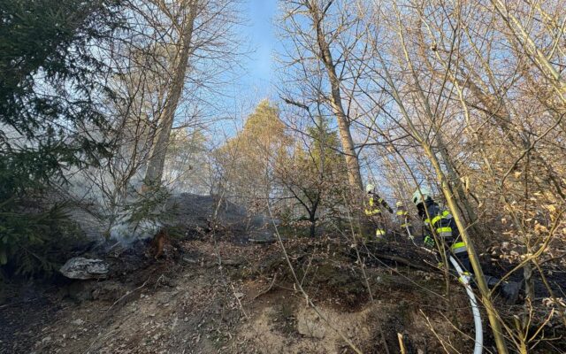 Wald­brand auf der Zill­hö­he