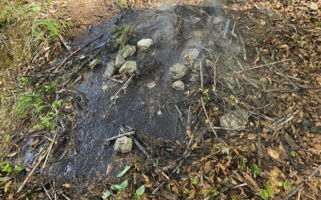Gemeindebürger verhinderte Waldbrand