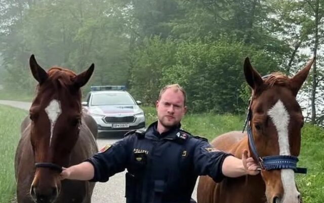 Poli­zist als erfolg­rei­cher Cow­boy