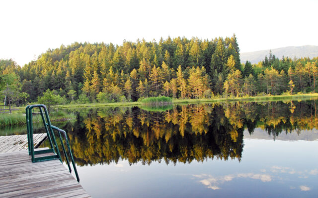 Neue Steg­an­la­ge am Egel­see