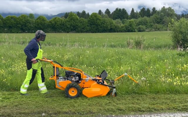 Wirt­schafts­hof schützt Insek­ten beim Mähen