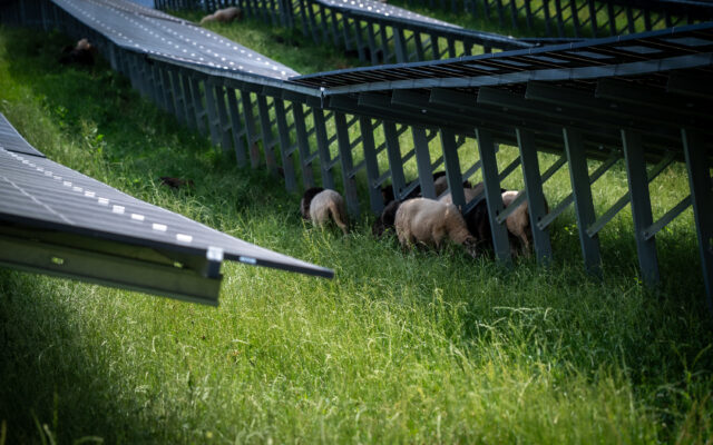Son­nen­park offi­zi­ell eröff­net