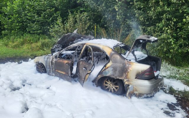 Auto brennt auf der B94 kom­plett aus