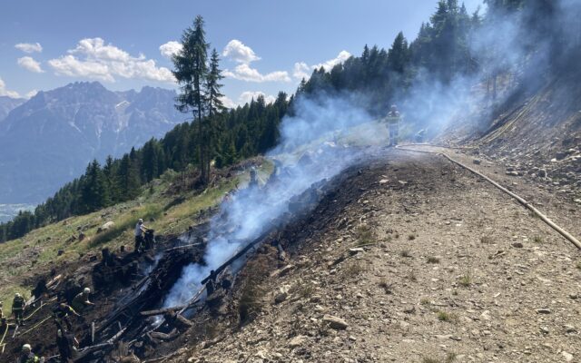Wegen Tro­cken­heit: Kein Feu­er im Wald