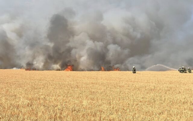 Feld­brand beim Ern­ten aus­ge­bro­chen